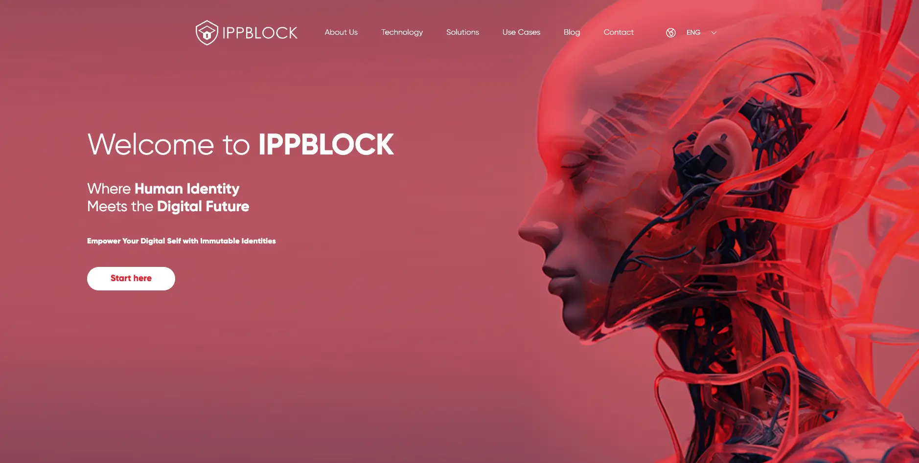 An image of the IppBlock project.